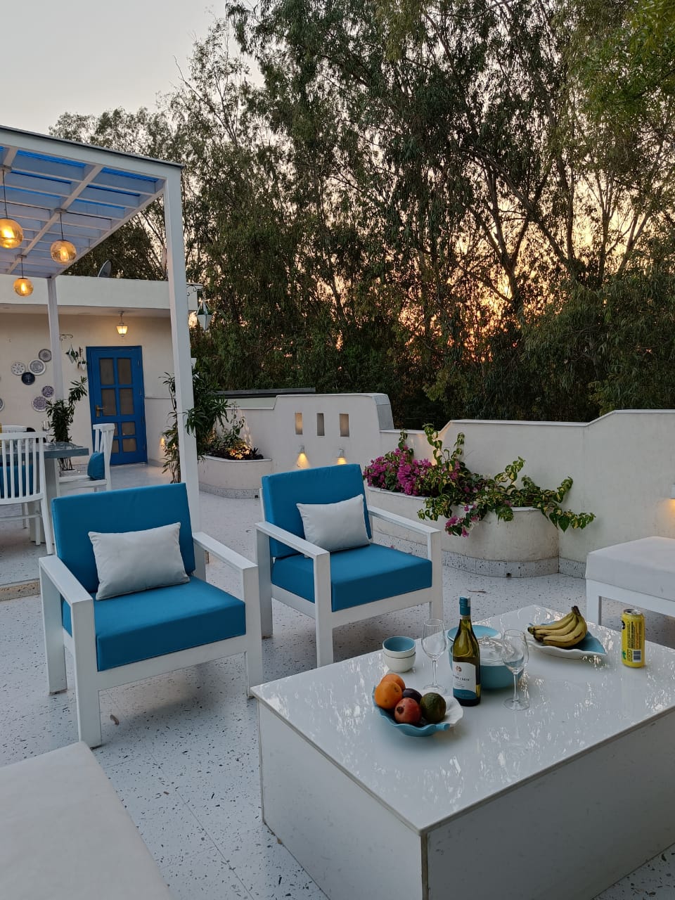 Sector 30 Terrace Design